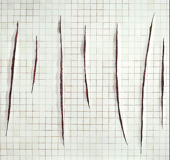 "Parede com Incisões a la Fontana II", da artista plástica Adriana Varejão